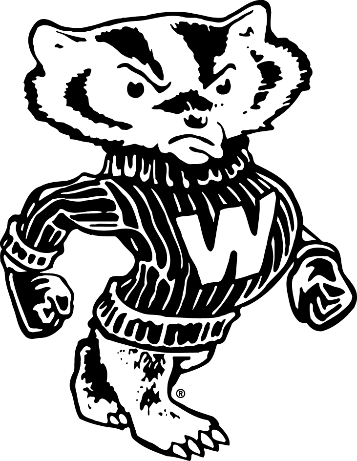 Wisconsin Badgers 1948-1969 Secondary Logo v2 t shirts iron on transfers